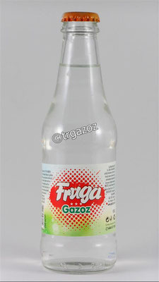 FRUGA GAZOZ 250ML