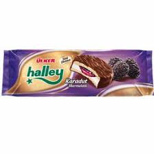 ÜLKER HALLEY KARADUT PASTA 240 GR