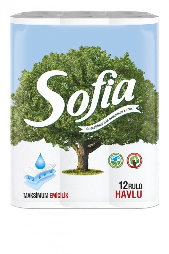 SOFİA KAĞIT HAVLU 12'Lİ