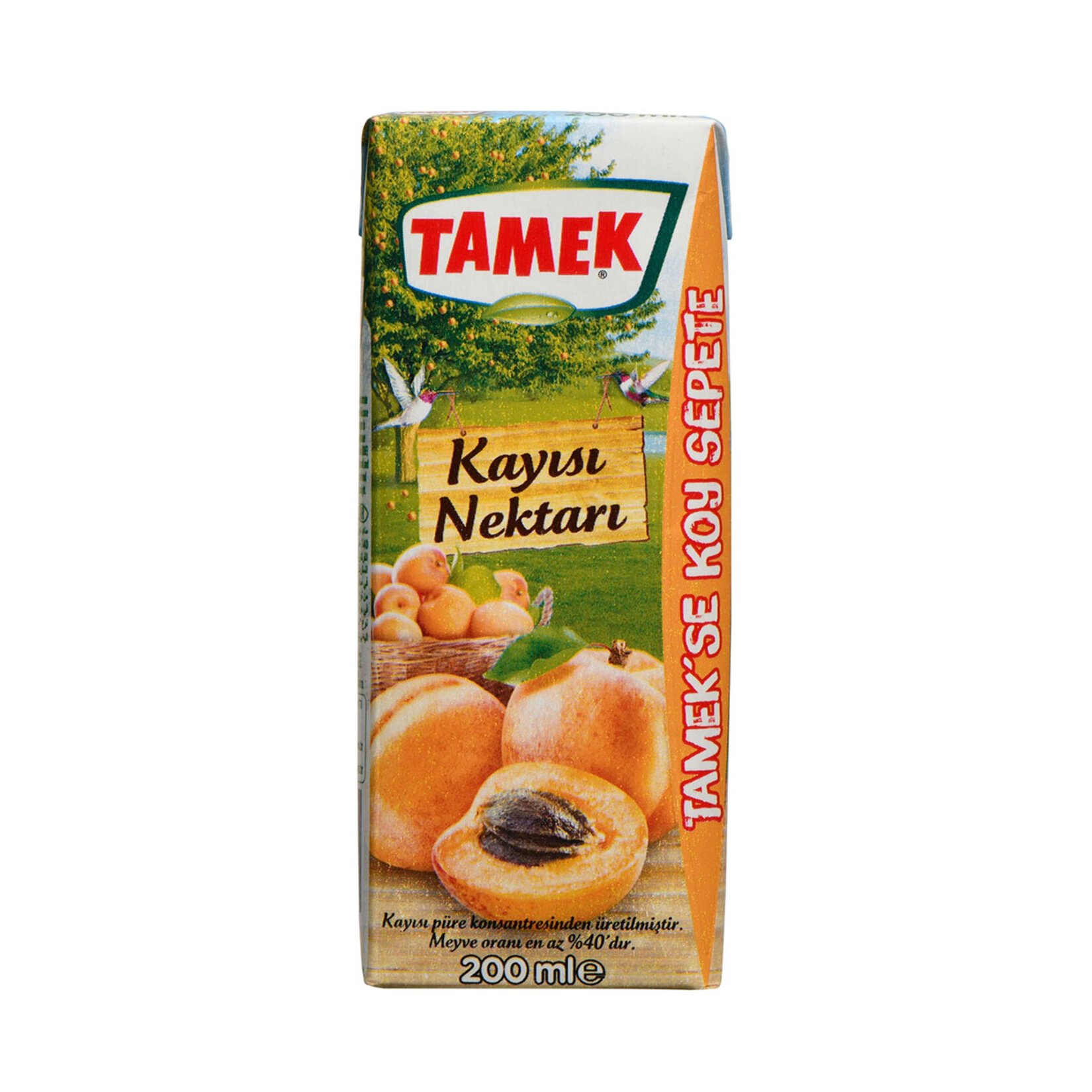 TAMEK KAYISI MEYVESUYU 200ML